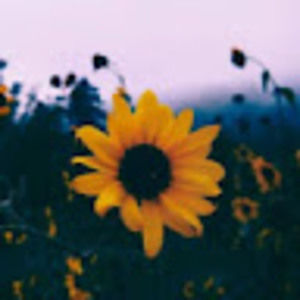 Meet your Posher, Subha